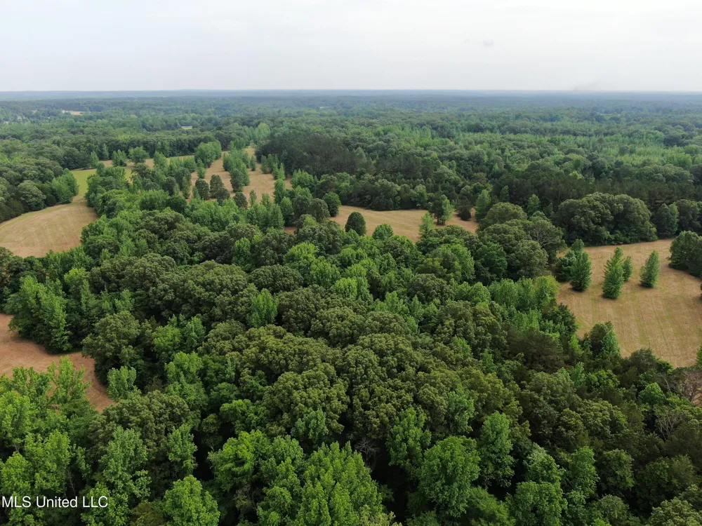 656 Sunset Drive Coldwater, MS 38618
