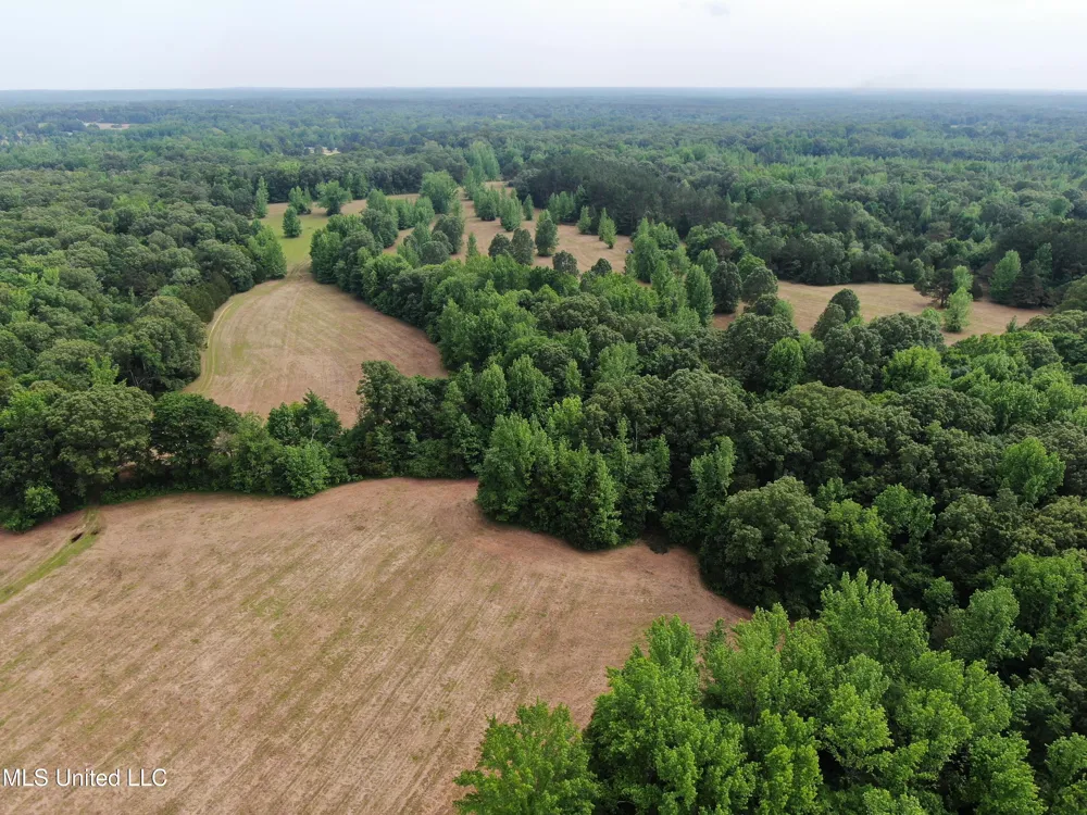 656 Sunset Drive Coldwater, MS 38618
