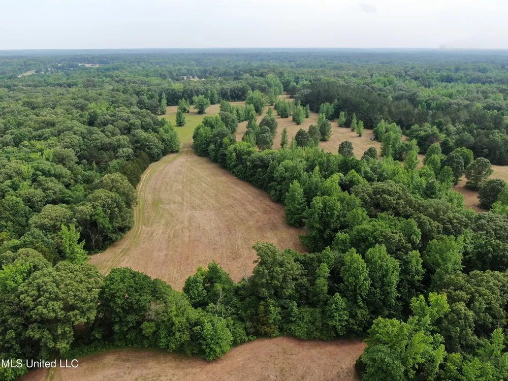 656 Sunset Drive Coldwater, MS 38618