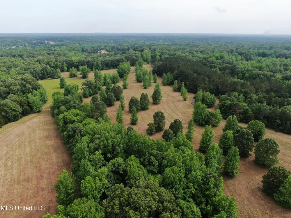 656 Sunset Drive Coldwater, MS 38618