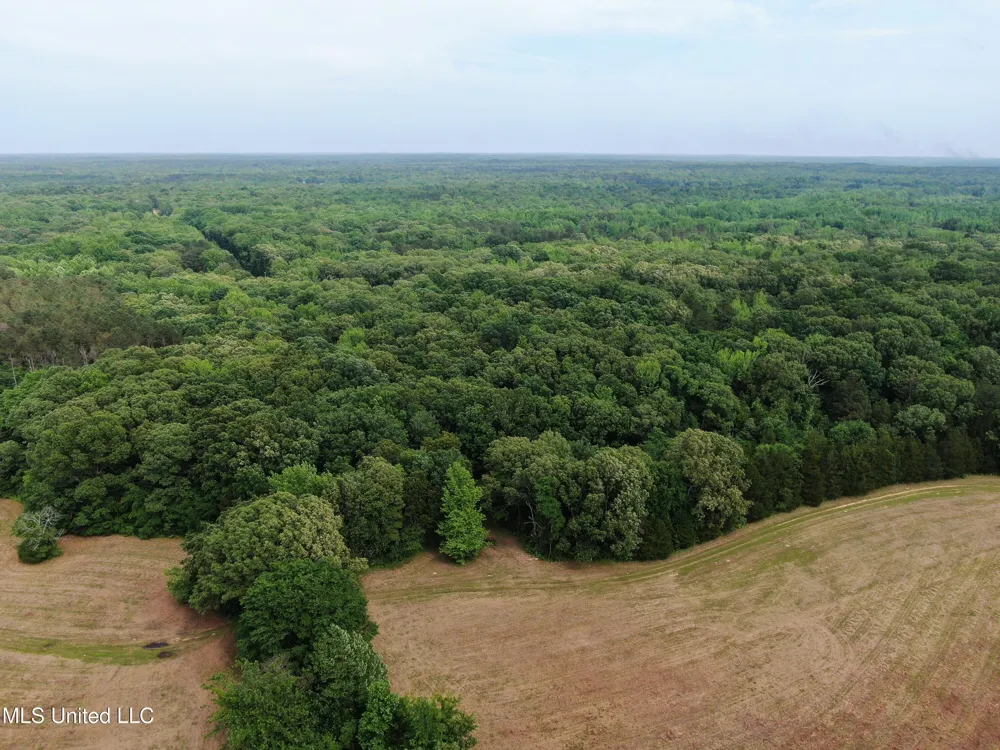 656 Sunset Drive Coldwater, MS 38618