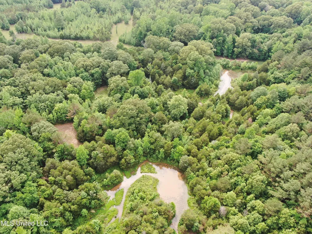 656 Sunset Drive Coldwater, MS 38618