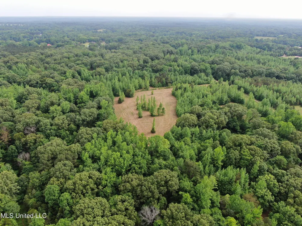 656 Sunset Drive Coldwater, MS 38618