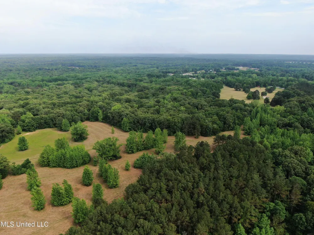 656 Sunset Drive Coldwater, MS 38618