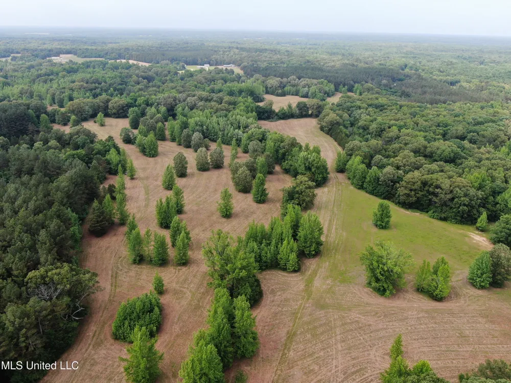 656 Sunset Drive Coldwater, MS 38618