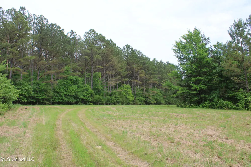 656 Sunset Drive Coldwater, MS 38618