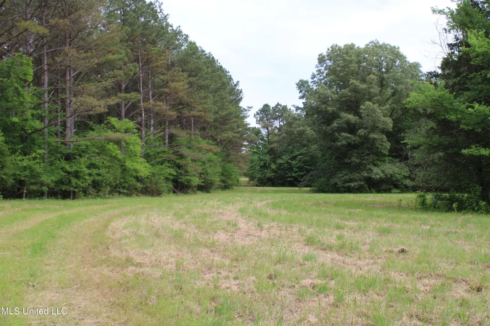 656 Sunset Drive Coldwater, MS 38618