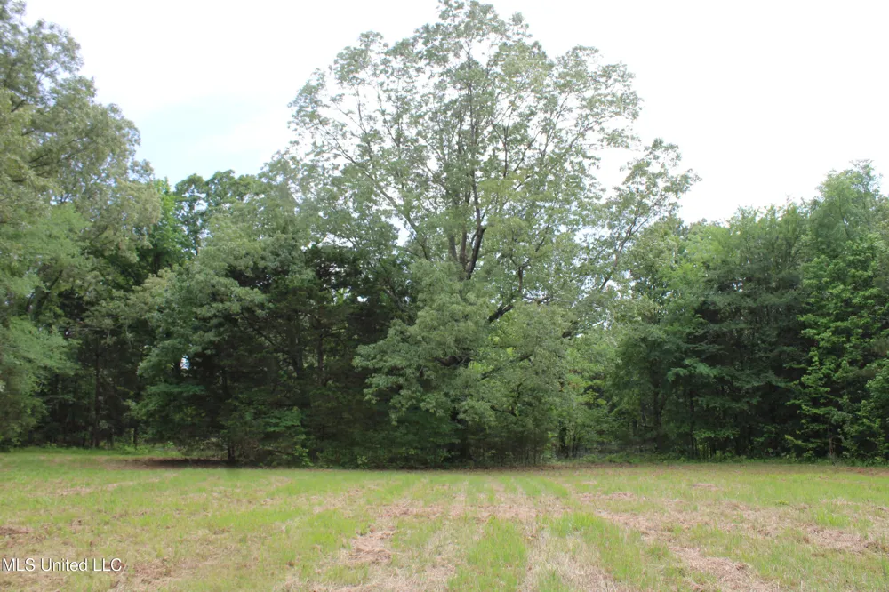 656 Sunset Drive Coldwater, MS 38618