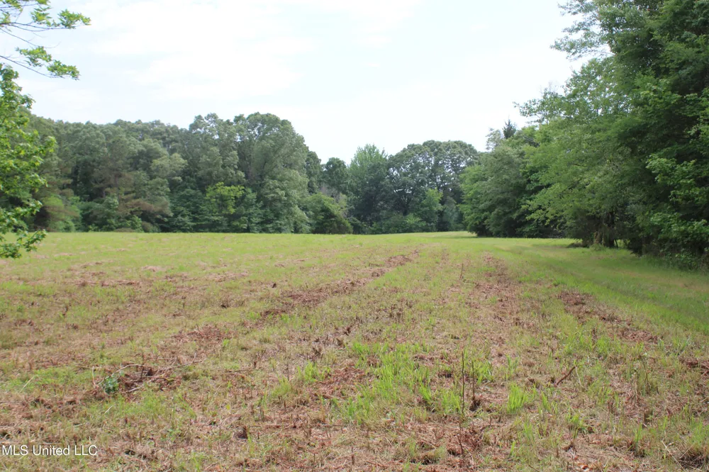 656 Sunset Drive Coldwater, MS 38618