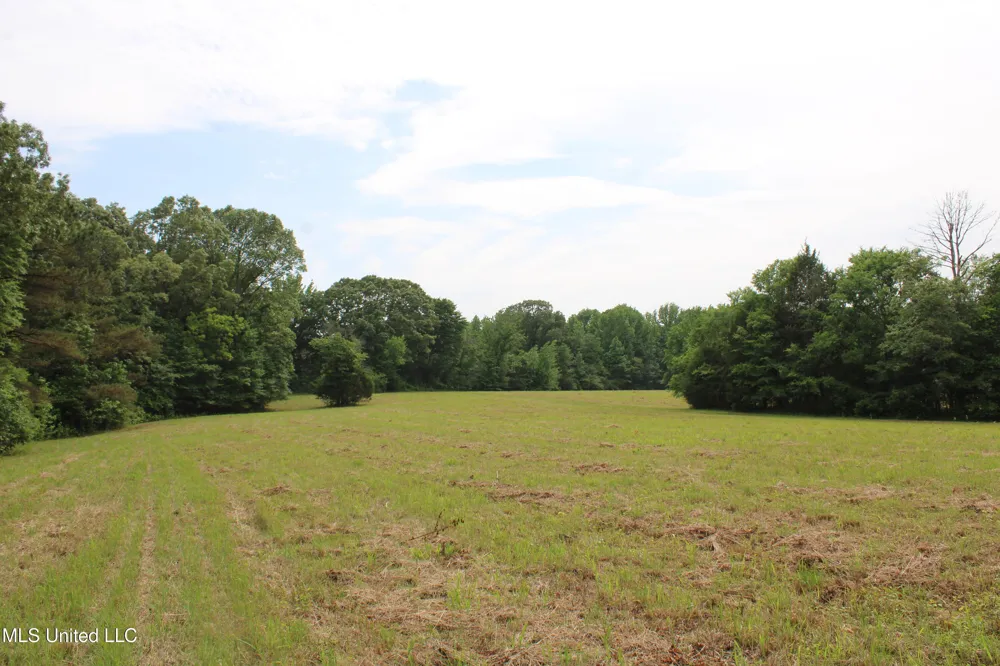 656 Sunset Drive Coldwater, MS 38618