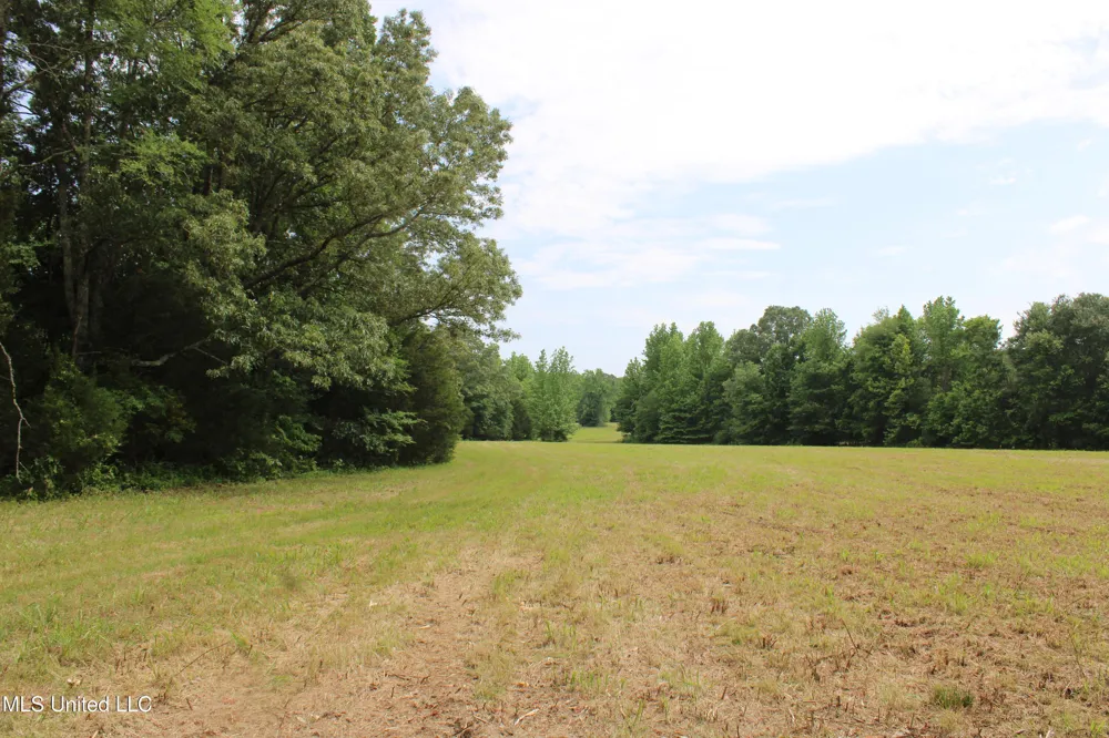 656 Sunset Drive Coldwater, MS 38618