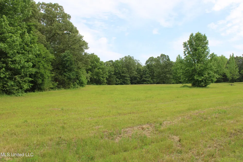 656 Sunset Drive Coldwater, MS 38618