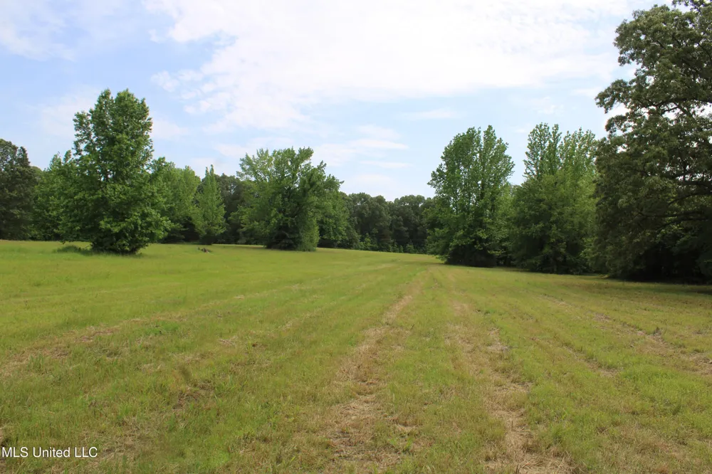 656 Sunset Drive Coldwater, MS 38618