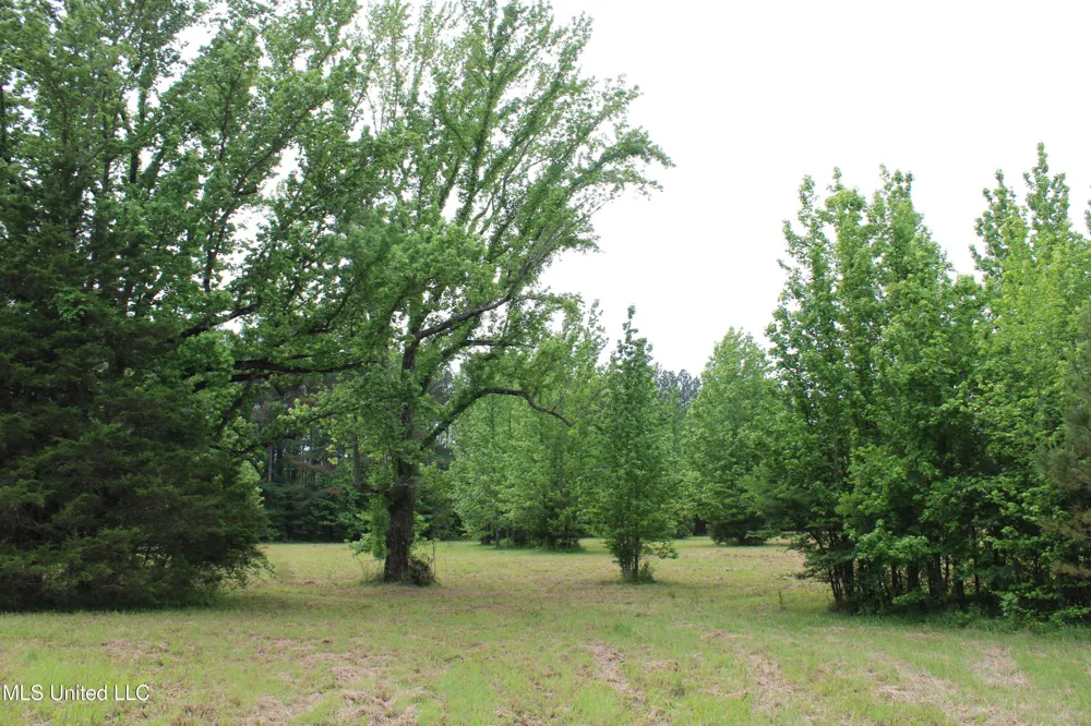 656 Sunset Drive Coldwater, MS 38618