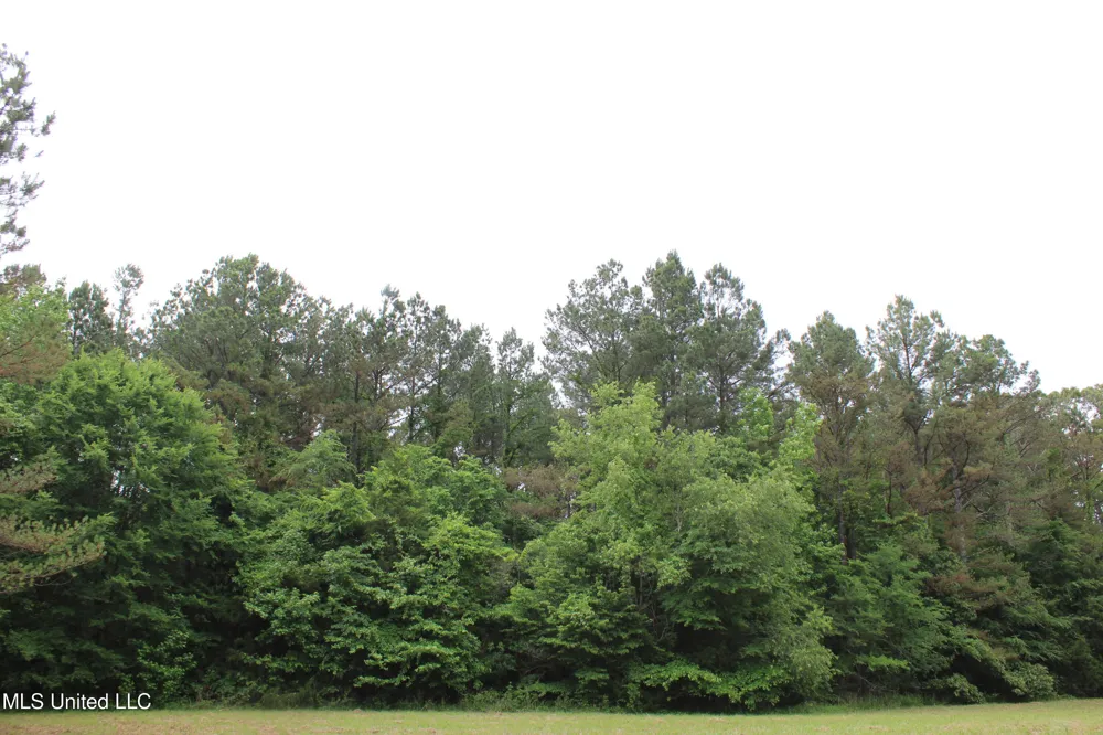 656 Sunset Drive Coldwater, MS 38618