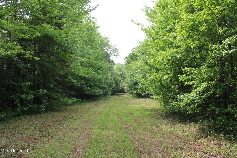 656 Sunset Drive Coldwater, MS 38618