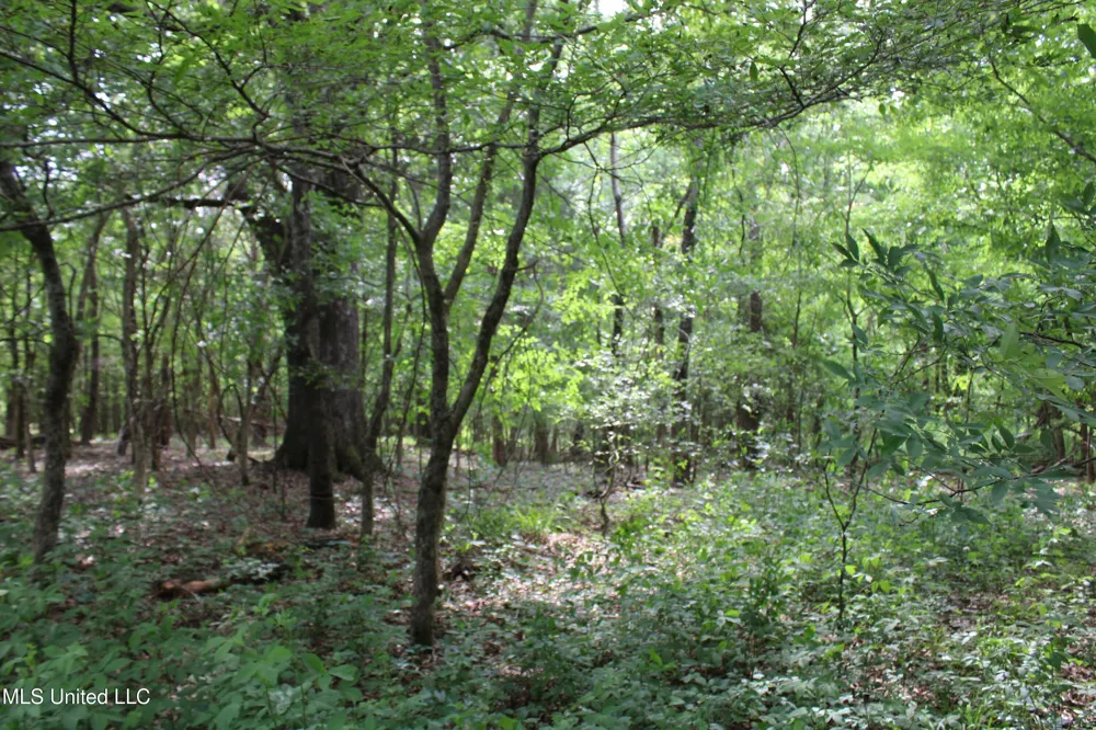 656 Sunset Drive Coldwater, MS 38618