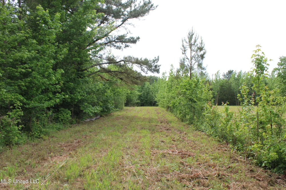 656 Sunset Drive Coldwater, MS 38618