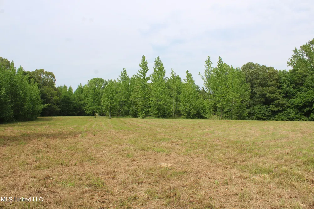 656 Sunset Drive Coldwater, MS 38618