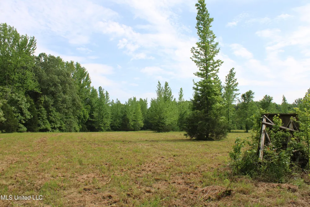 656 Sunset Drive Coldwater, MS 38618