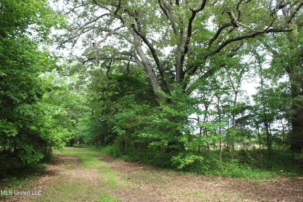656 Sunset Drive Coldwater, MS 38618