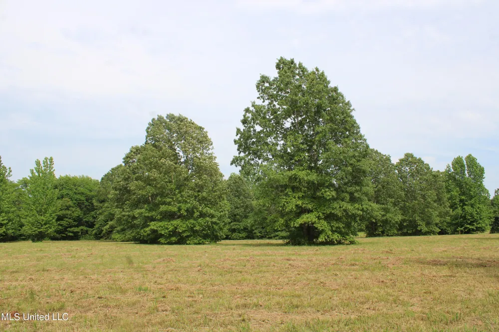 656 Sunset Drive Coldwater, MS 38618