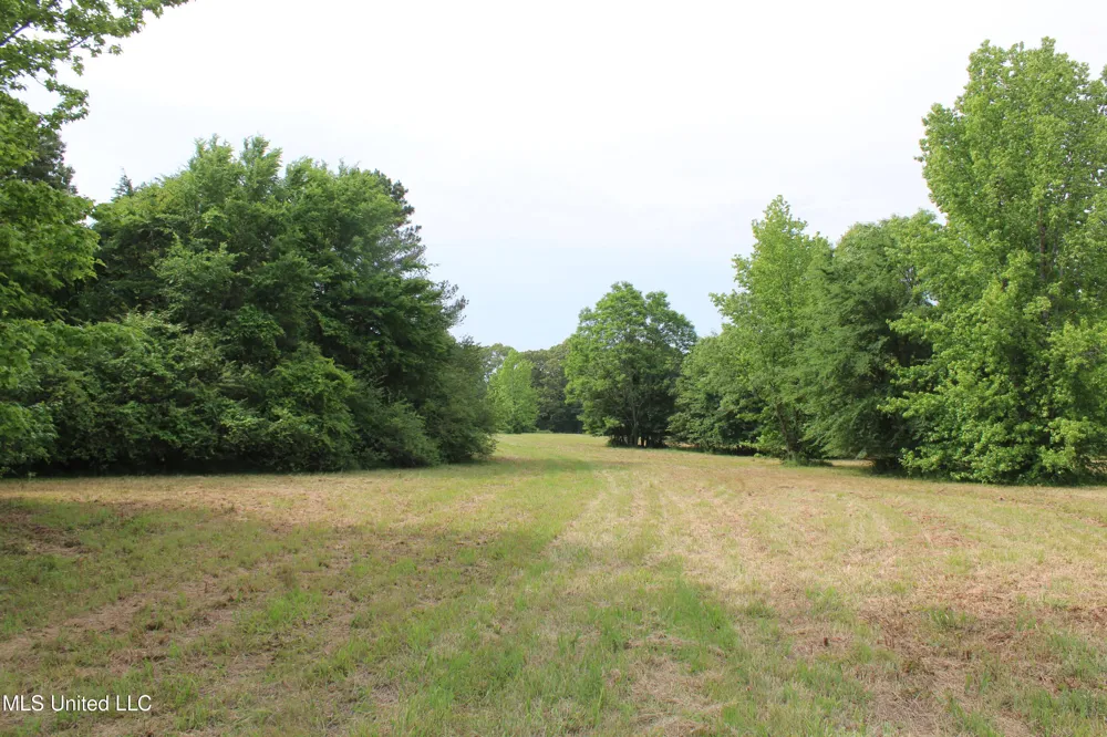 656 Sunset Drive Coldwater, MS 38618