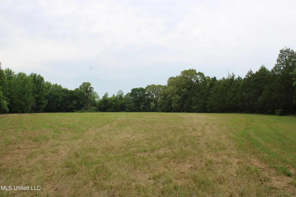 656 Sunset Drive Coldwater, MS 38618