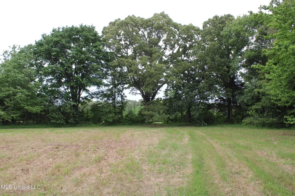 656 Sunset Drive Coldwater, MS 38618