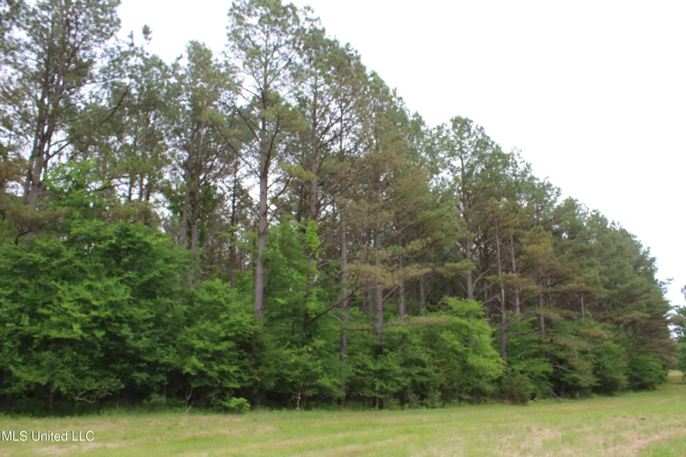 656 Sunset Drive Coldwater, MS 38618