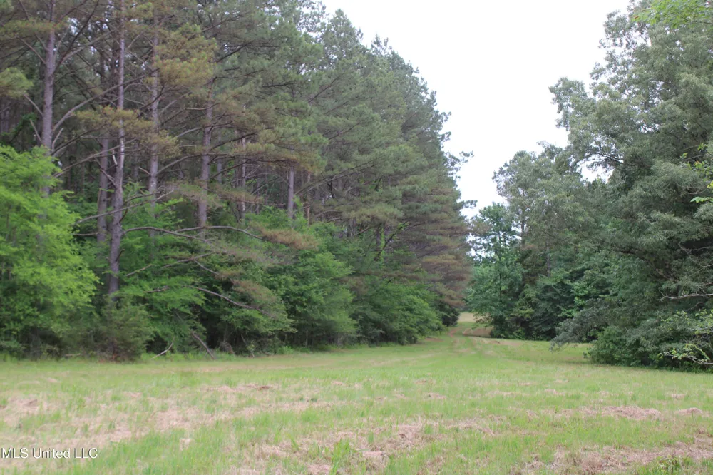 656 Sunset Drive Coldwater, MS 38618