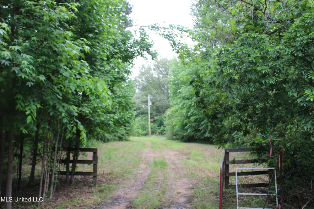 656 Sunset Drive Coldwater, MS 38618
