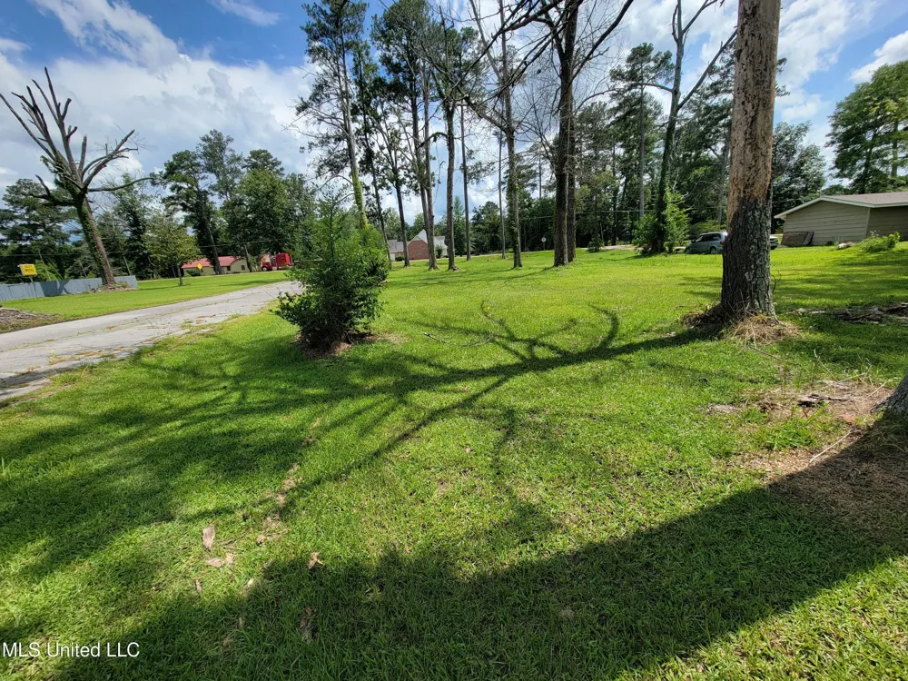 1505 E 3rd Street Forest, MS 39074