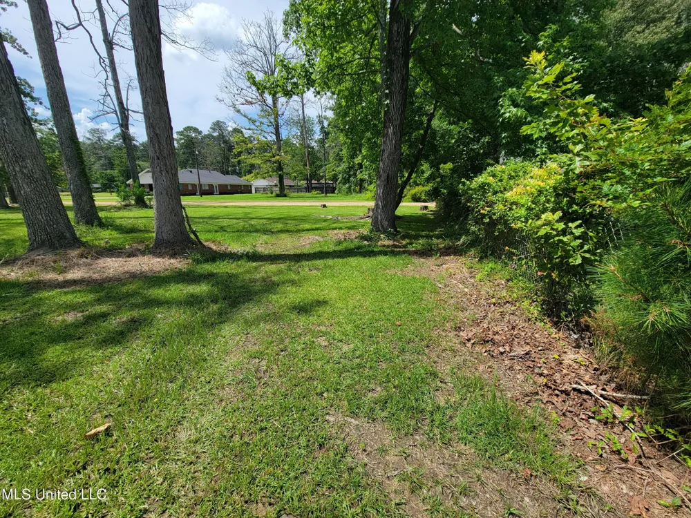 1505 E 3rd Street Forest, MS 39074