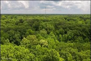 16844 Ms-12 Lexington, MS 39095