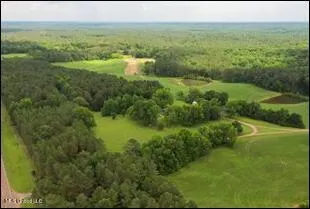 16844 Ms-12 Lexington, MS 39095
