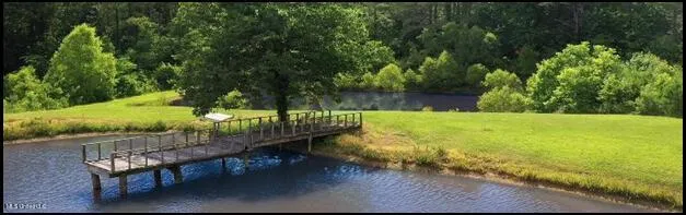 16844 Ms-12 Lexington, MS 39095