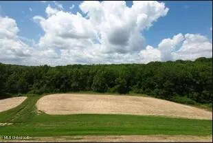 16844 Ms-12 Lexington, MS 39095