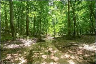 16844 Ms-12 Lexington, MS 39095