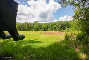 16844 Ms-12 Lexington, MS 39095
