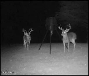 16844 Ms-12 Lexington, MS 39095