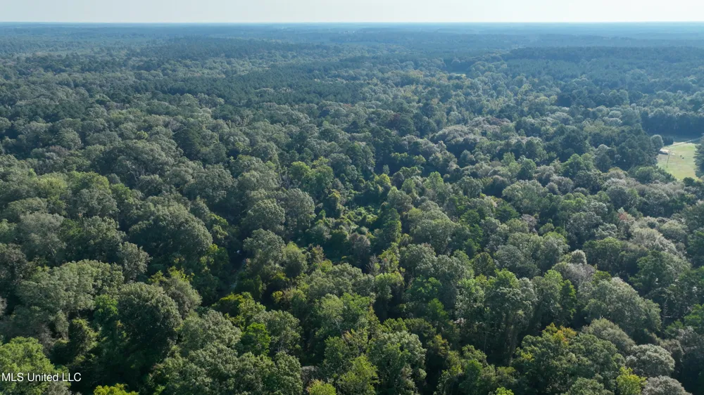 Greensburg Road Liberty, MS 39645