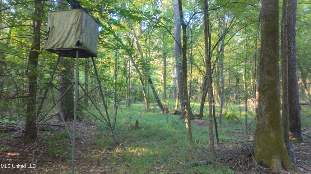 Greensburg Road Liberty, MS 39645
