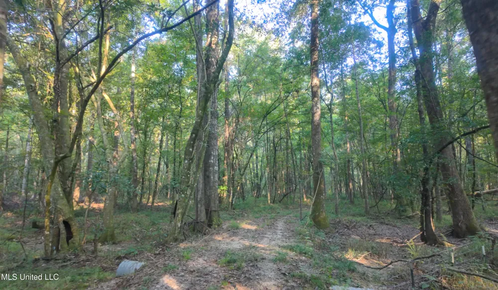 Greensburg Road Liberty, MS 39645