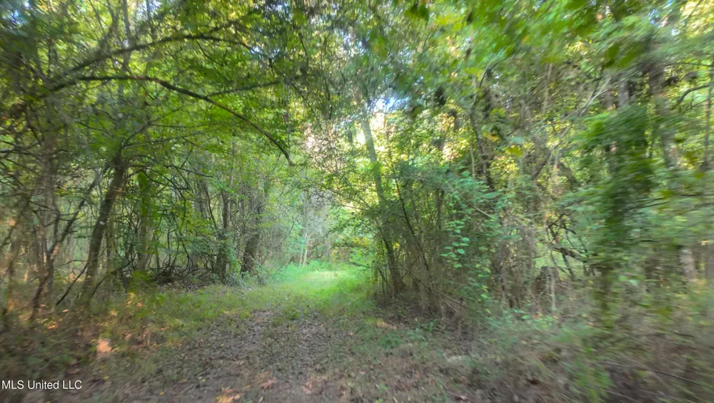 Greensburg Road Liberty, MS 39645