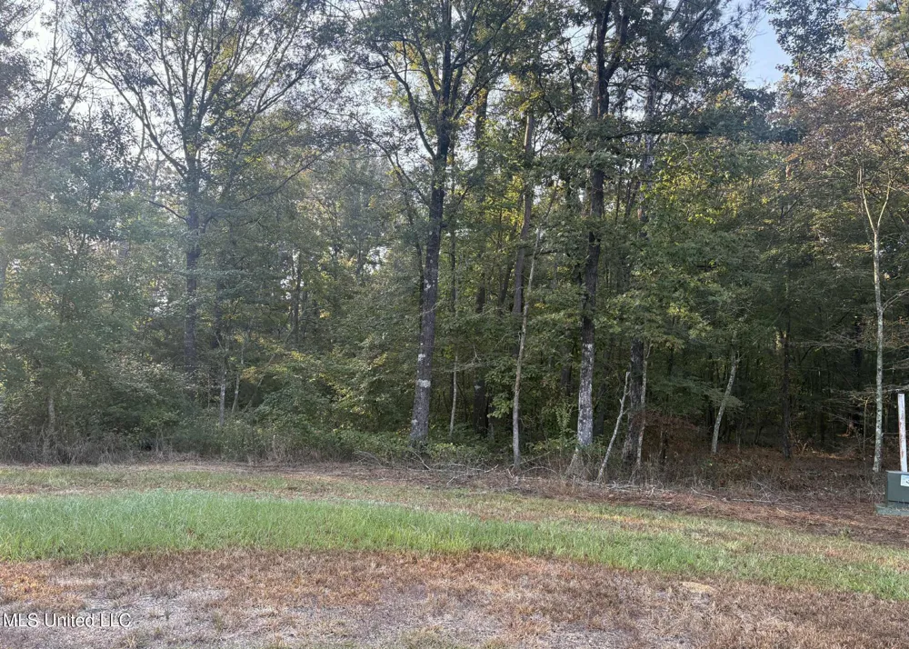 00 Friendship Circle Forest, MS 39074
