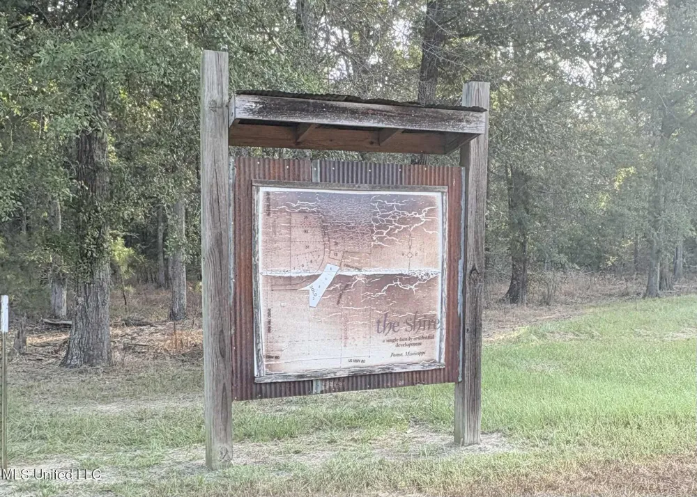 00 Friendship Circle Forest, MS 39074