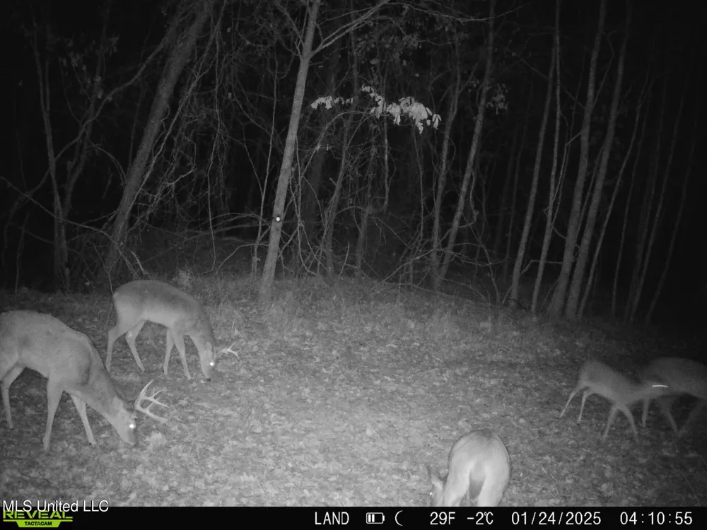 0001 Old Dover Road Yazoo City, MS 39194