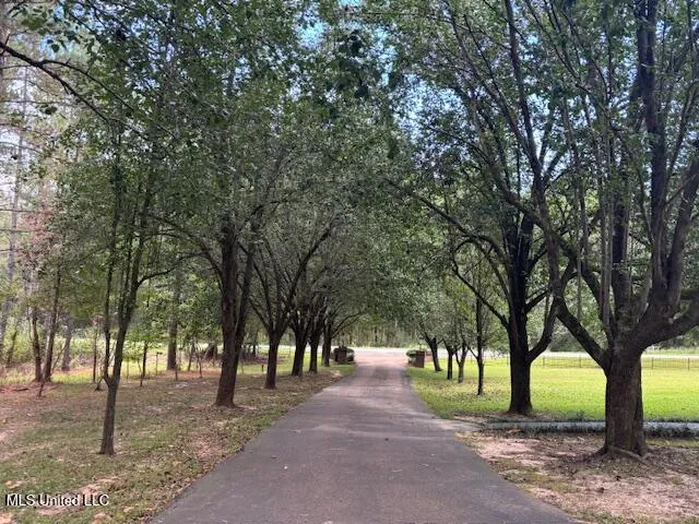 1146 Union Church Road Magnolia, MS 39652