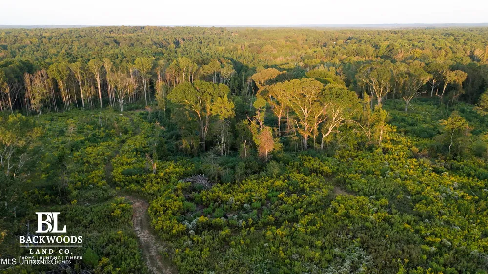 02 Edwards Rd Kosciusko, MS 39090